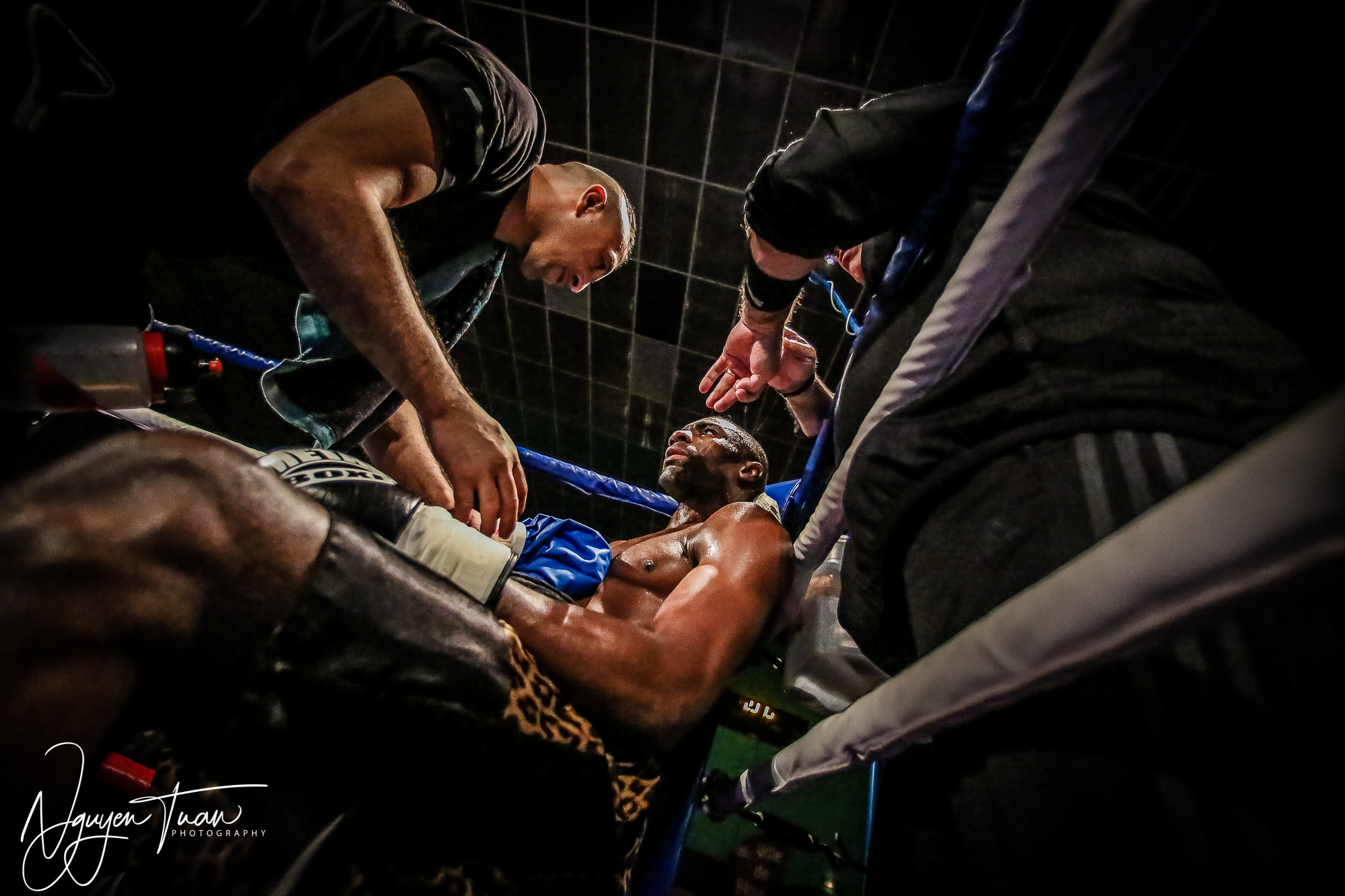 Gala Boxe  24112018   4127